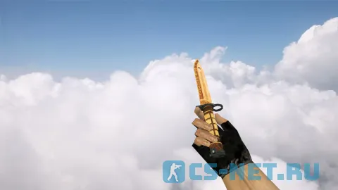 Модель штык-ножа «Bayonet Hieroglyph» для CS 1.6
