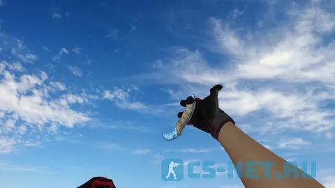 Модель ножа «Talon Knife Ice» для CS 1.6 (скрин 2)