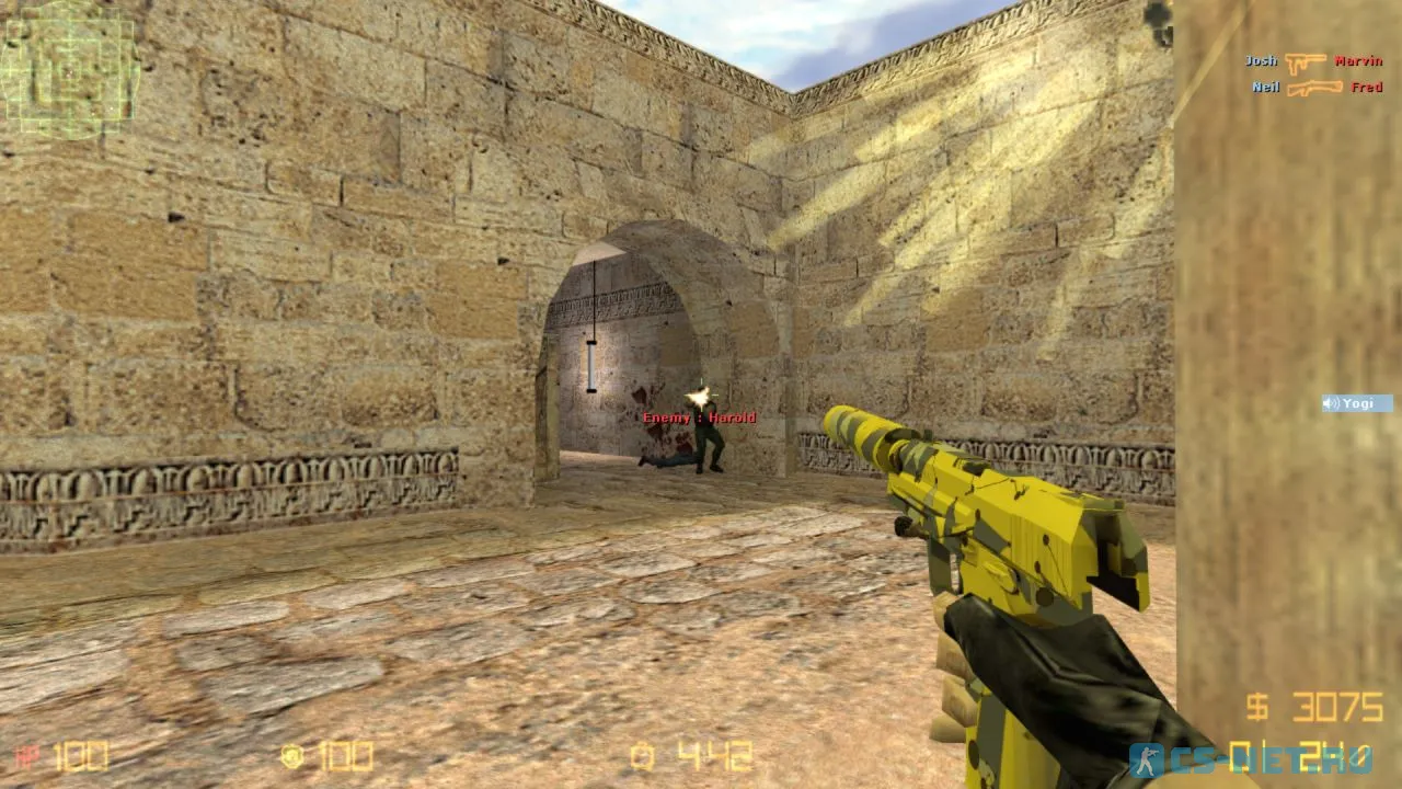 CS 1.6 Neural Net (скриншот 7)