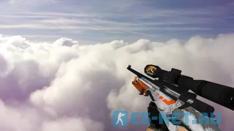 Модель «Default AWP Asiimov fnatic» для CS 1.6 (скрин 2)