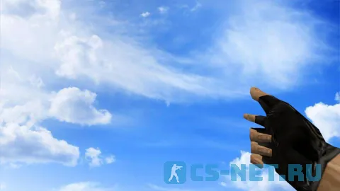 Модель «Пальцествол» для CS 1.6