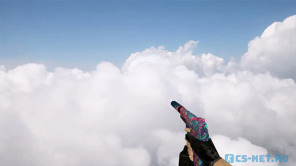 Модель «Default USP | Скоростной зверь» для CS 1.6