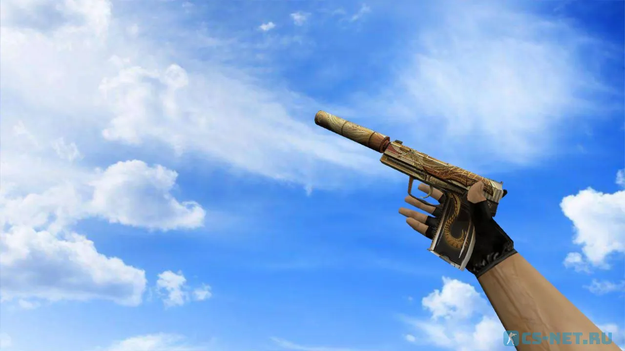 Модель «USP | Destiny» для CS 1.6