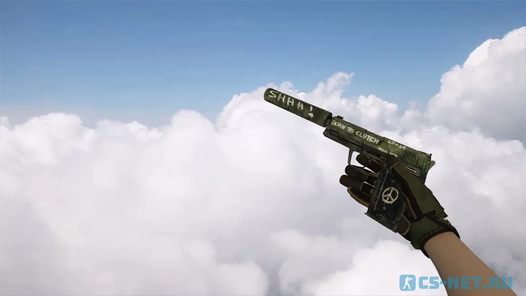 Модель «USP | Взгляд в прошлое» для CS 1.6