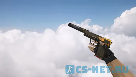 Модель «USP | Воин дорог» для CS 1.6