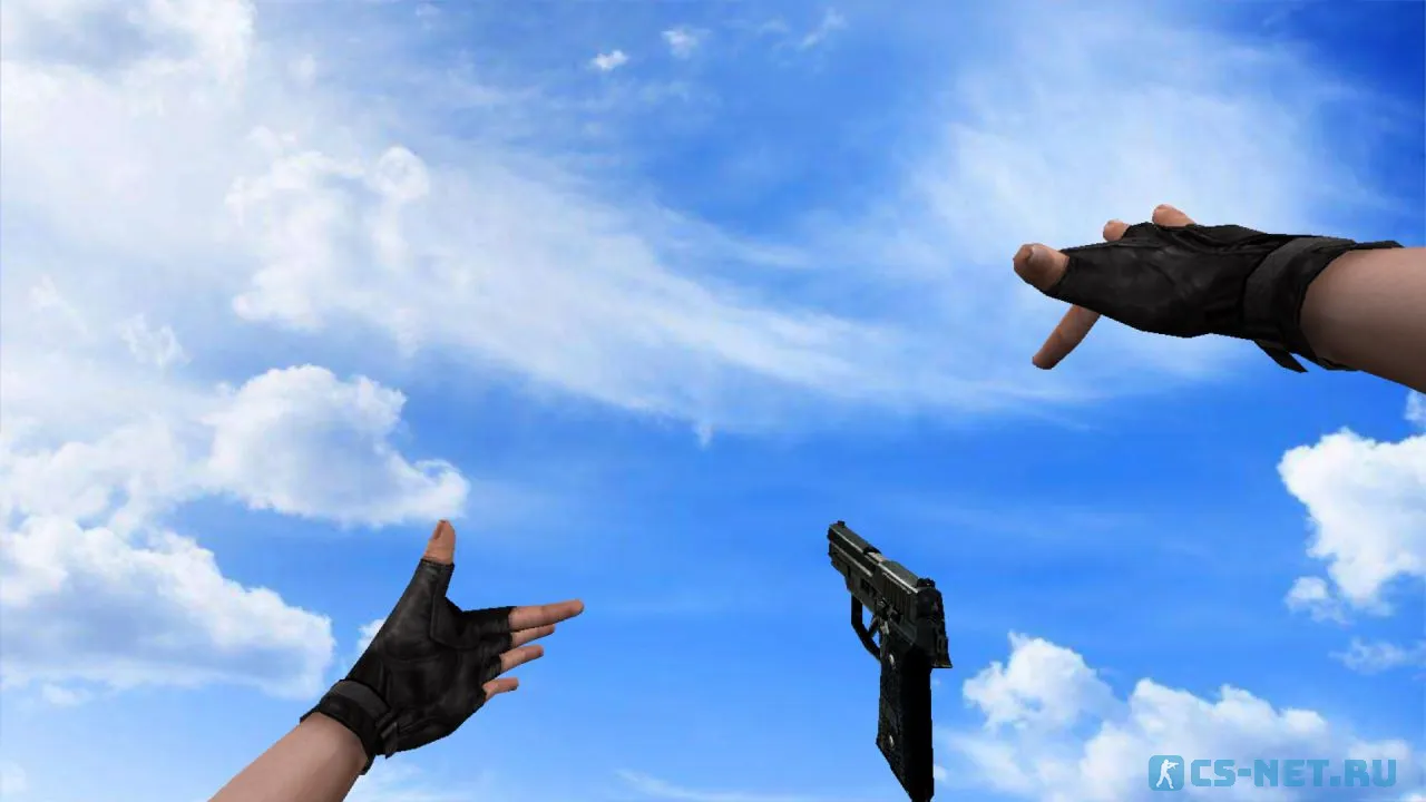 Модель «P228 Волшебник» для CS 1.6