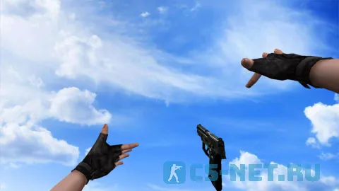 Модель «P228 Волшебник» для CS 1.6