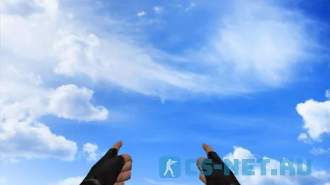 Модель «Два пистолета из пальцев» для CS 1.6