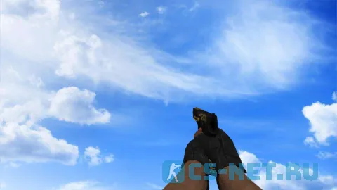 Модель «P250 | Карбон» для CS 1.6