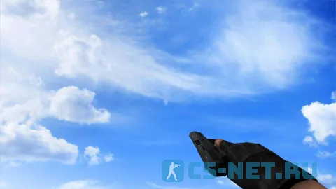 Модель «P228 | Решала» для CS 1.6