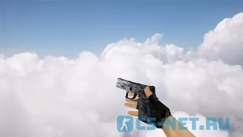 Модель «P250 White Fang» для CS 1.6