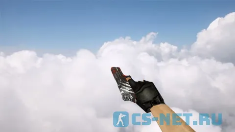 Модель «P250 | Выживший» для CS 1.6 (скрин 2)