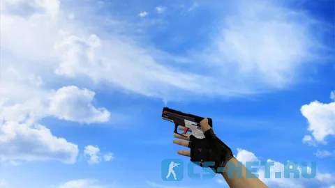 Модель «Р250 | Сайрекс» для CS 1.6