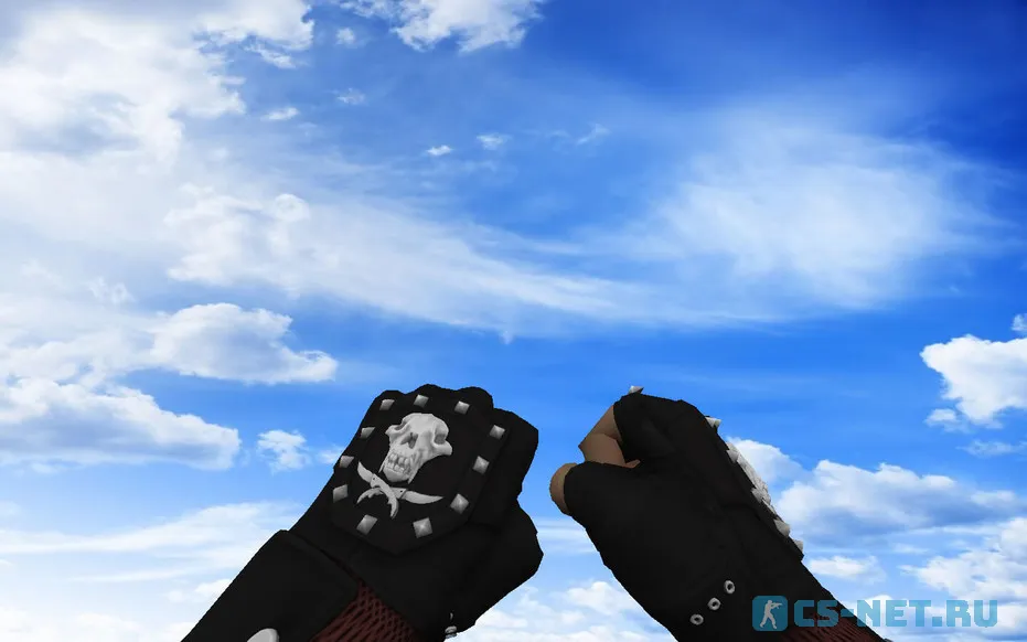 Пак моделей оружия «С перчатками Бладхаунд | Зола» для CS 1.6