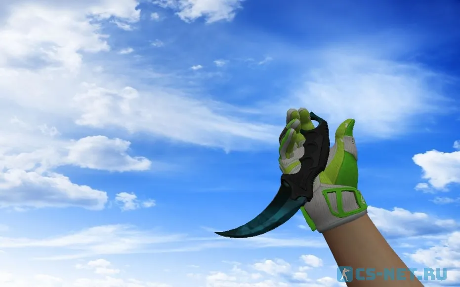 Пак оружия «Спортивные перчатки | Живая изгородь» для CS 1.6 (Karambit 4)
