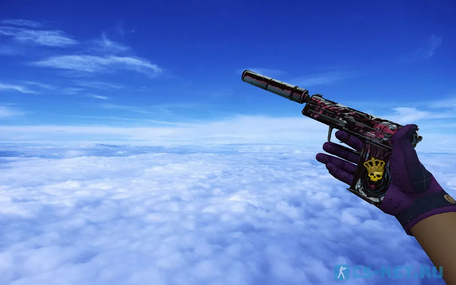 Пак оружия «Водительские перчатки | Имперская клетка» для CS 1.6 (USP)