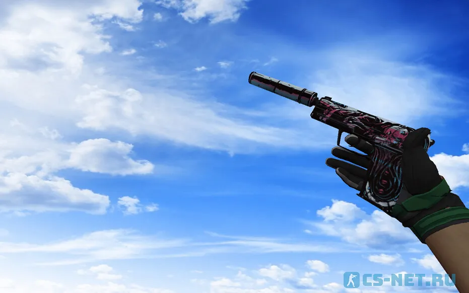 Пак с Мотоциклетными перчатками Черепаха для CS 1.6 (USP)