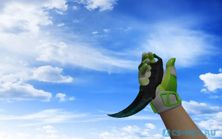 Пак оружия «Спортивные перчатки | Живая изгородь» для CS 1.6 (Karambit 5)
