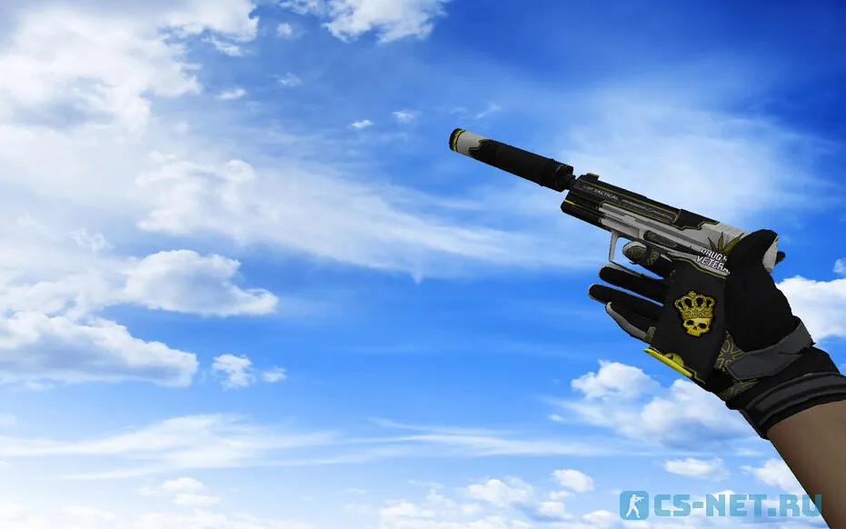 Пак моделей оружия «С мотоциклетными перчатками Затмение» для CS 1.6 (USP)