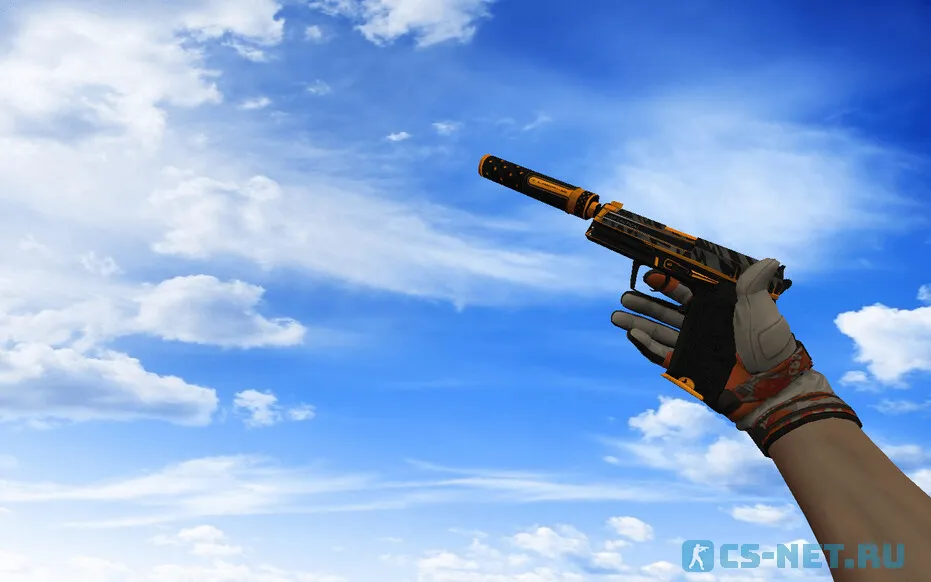 Пак оружия с Мотоциклетными перчатками «БУХ!» для CS 1.6 (USP)