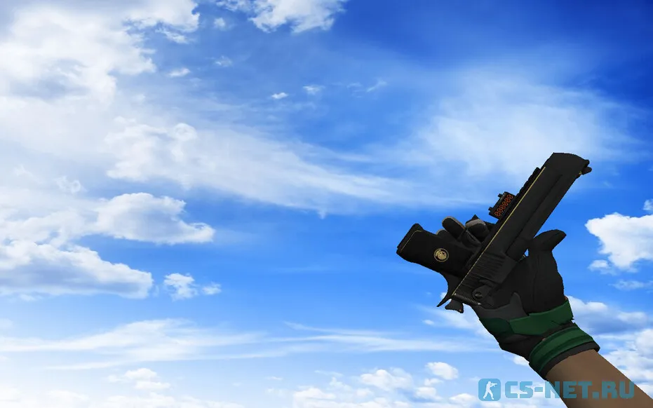 Пак с Мотоциклетными перчатками Черепаха для CS 1.6 (Deagle)