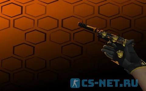 Пак моделей «Пак ★ Спортивные перчатки | Омега» для CS 1.6 (USP)