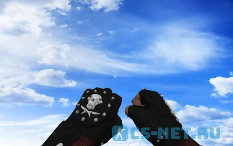 Пак моделей оружия «С перчатками Бладхаунд | Зола» для CS 1.6