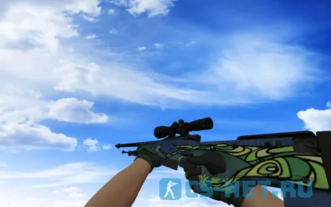 Пак с Мотоциклетными перчатками Черепаха для CS 1.6 (AWP)