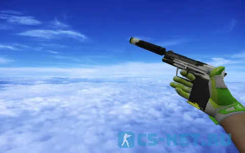 Пак моделей оружия «Pack Hedge Maze + Fracture Case» для CS 1.6 (USP)