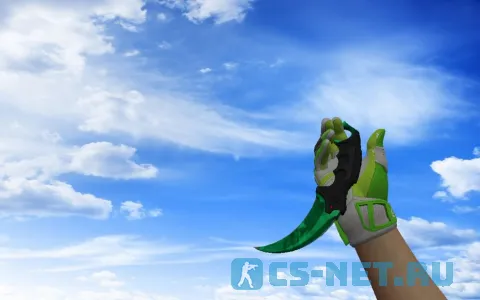 Пак оружия «Спортивные перчатки | Живая изгородь» для CS 1.6 (Karambit 1)