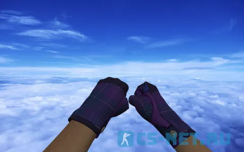 Пак оружия «Водительские перчатки | Имперская клетка» для CS 1.6