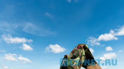 Полный пак камуфляжного оружия для CS 1.6 (Bomb)