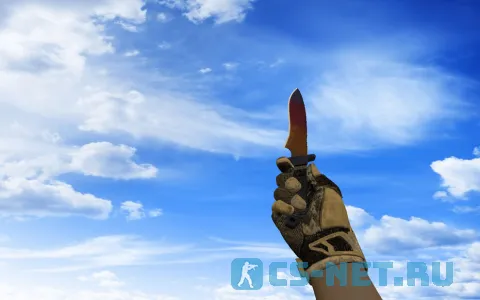 Пак моделей оружия «Со спортивными перчатками Засуха» для CS 1.6 (Knife)