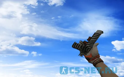 Пак оружия с Мотоциклетными перчатками «БУХ!» для CS 1.6 (Deagle)