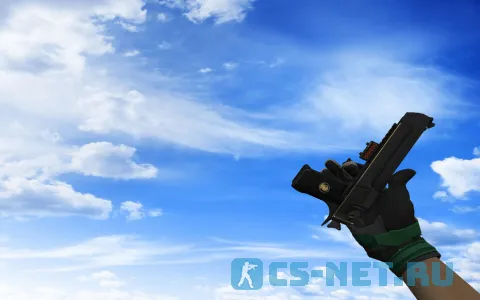 Пак с Мотоциклетными перчатками Черепаха для CS 1.6 (Deagle)