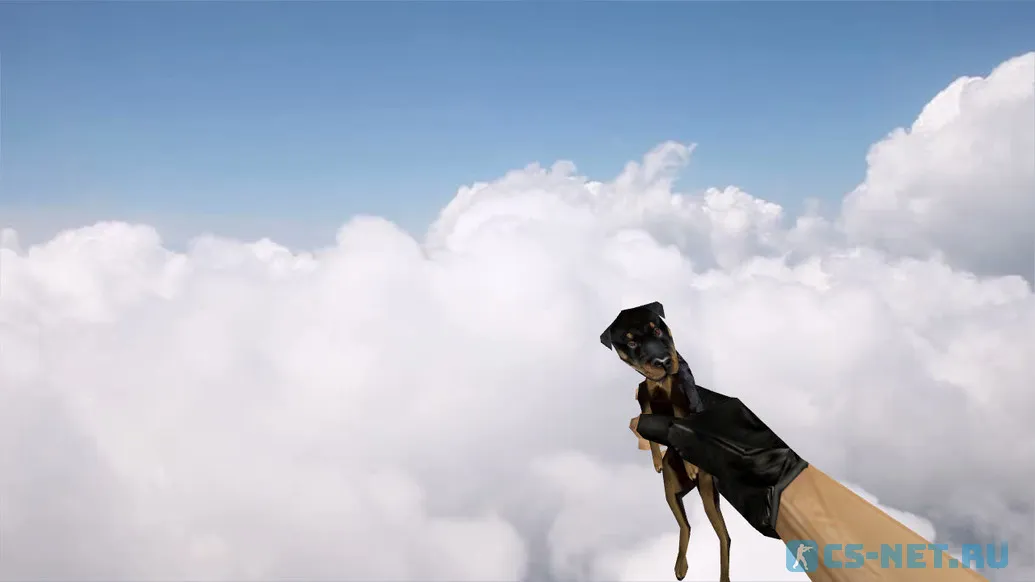Модель HE гранаты «Dog Grenade» для CS 1.6