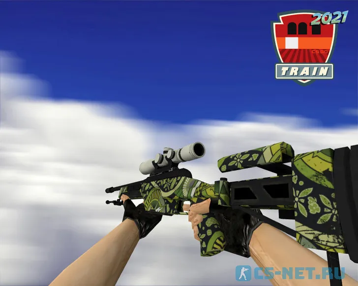 Пак моделей оружия из коллекции «Train 2021» для CS 1.6 (Scout)
