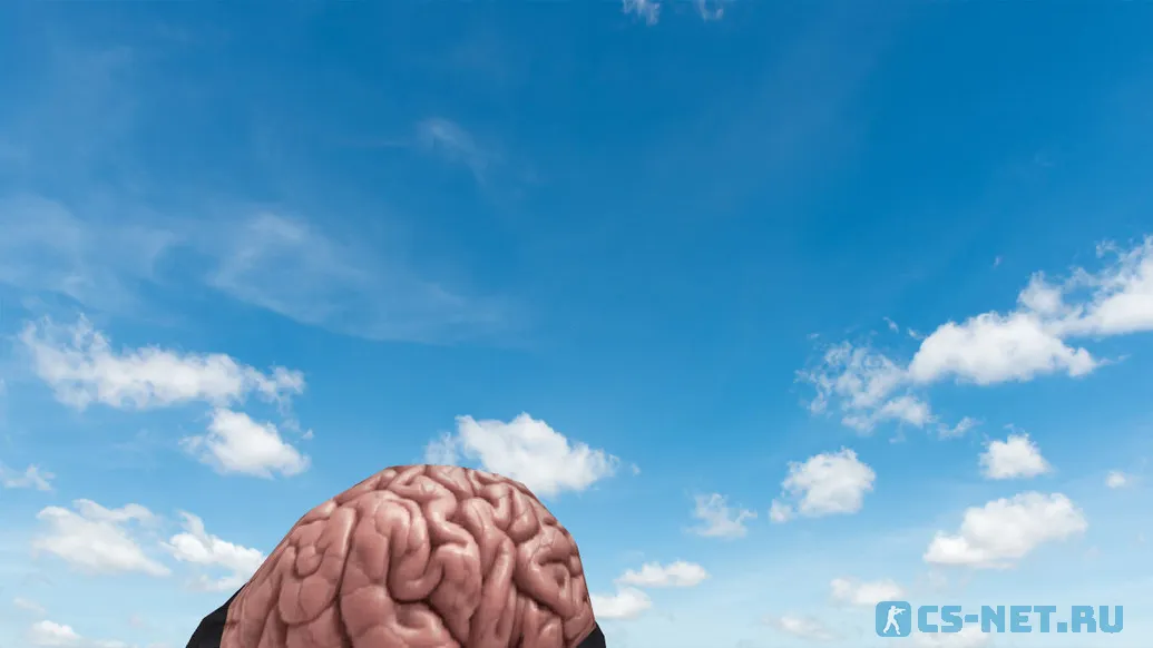 Модель HE гранаты «Brain Grenade» для CS 1.6