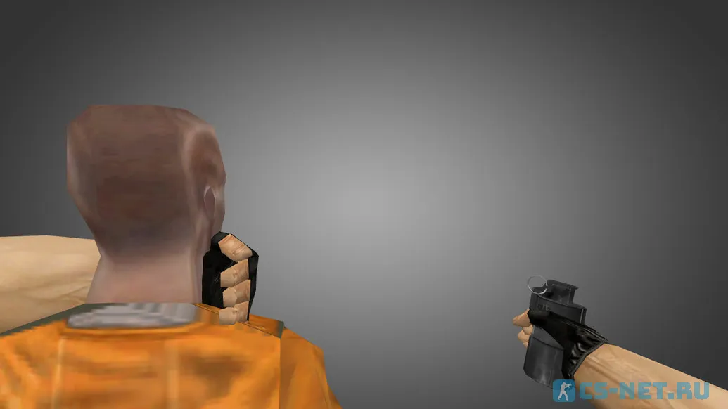 Модель «Hostage Human Shield» для CS 1.6 (скрин 6)