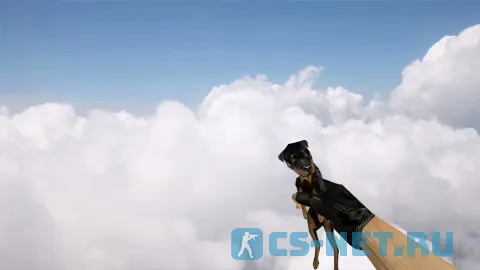 Модель HE гранаты «Dog Grenade» для CS 1.6