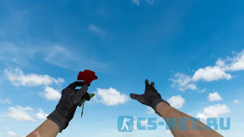 Модель HE гранаты «Роза» для CS 1.6