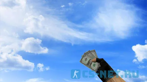 Модель HE гранаты «Баксы» для CS 1.6