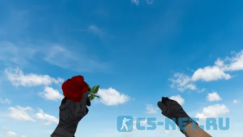 Модель HE гранаты «Роза» для CS 1.6 (скрин 3)