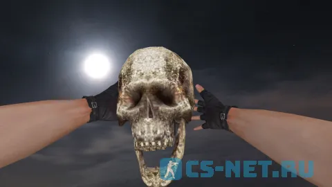 Модель HE гранаты «Human Skull Grenade» для CS 1.6 (скрин 2)