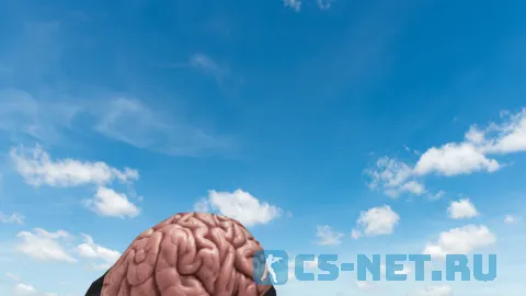 Модель HE гранаты «Brain Grenade» для CS 1.6