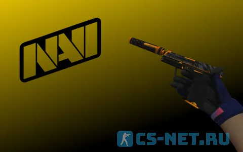 Пак моделей оружия «Инвентарь Navi Flamie» для CS 1.6 (USP)
