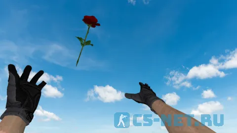 Модель HE гранаты «Роза» для CS 1.6 (скрин 2)