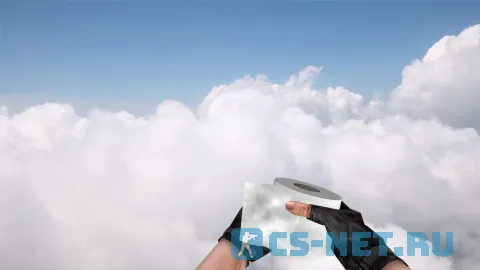 Модель «Бомба | Туалетная бумага» для CS 1.6