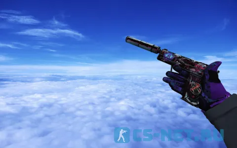 Пак моделей оружия «Спортивные перчатки | Ящик пандоры» для CS 1.6 (USP)