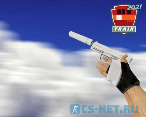 Пак моделей оружия из коллекции «Train 2021» для CS 1.6 (USP)